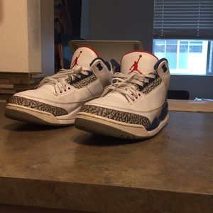 Jordan 3 true blues (2016)